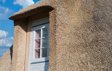Tasley thatch roof disadvantages